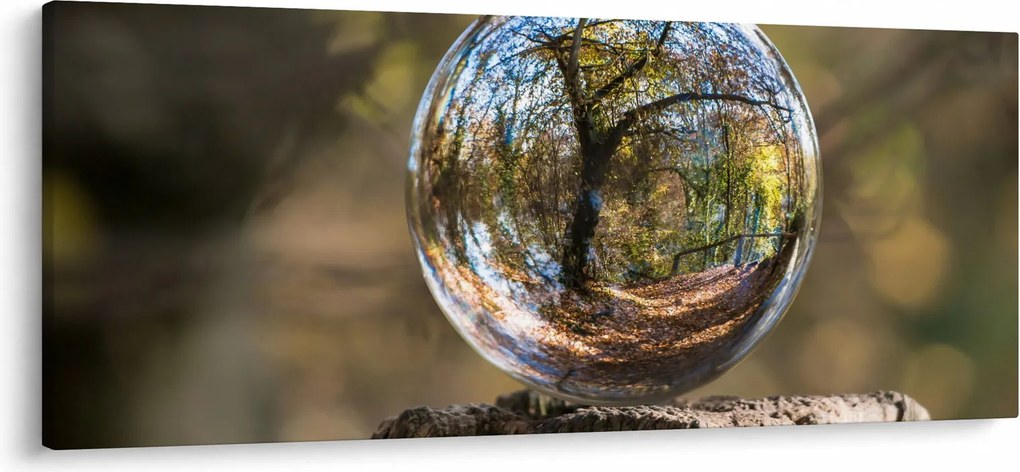 Tablou - Reflecție intr-o sferă transparentă (120x50 cm)