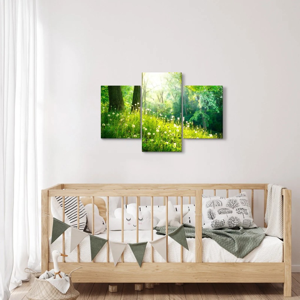 Tablou - Pajiște magică plină de păpădii (90x60 cm)