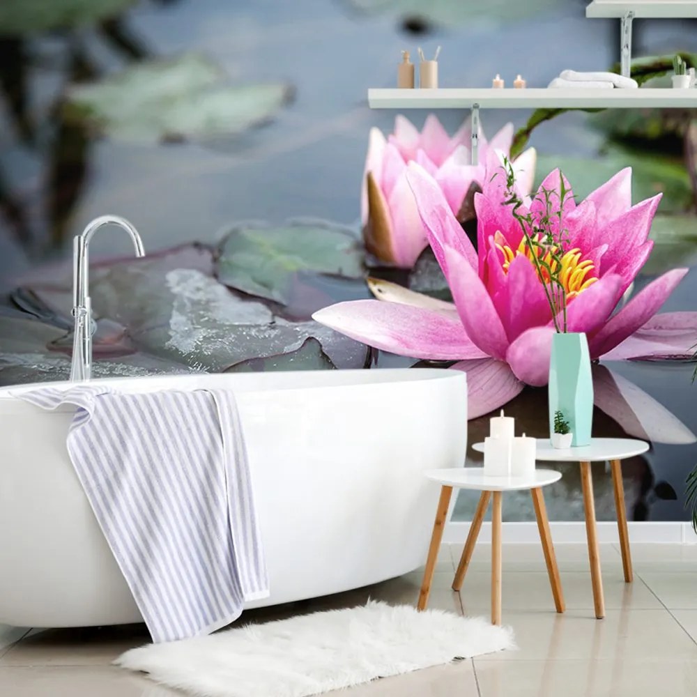 Fototapet floare roz de lotus