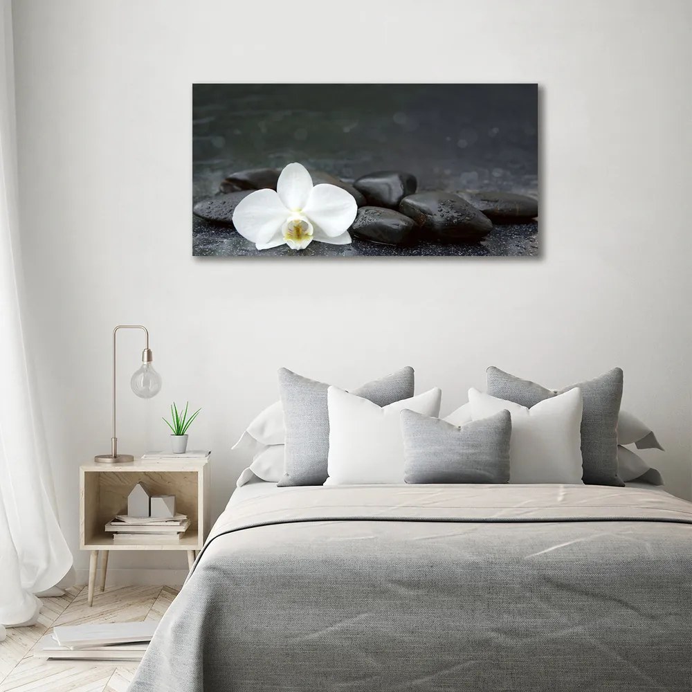 Tablou canvas Orhidee