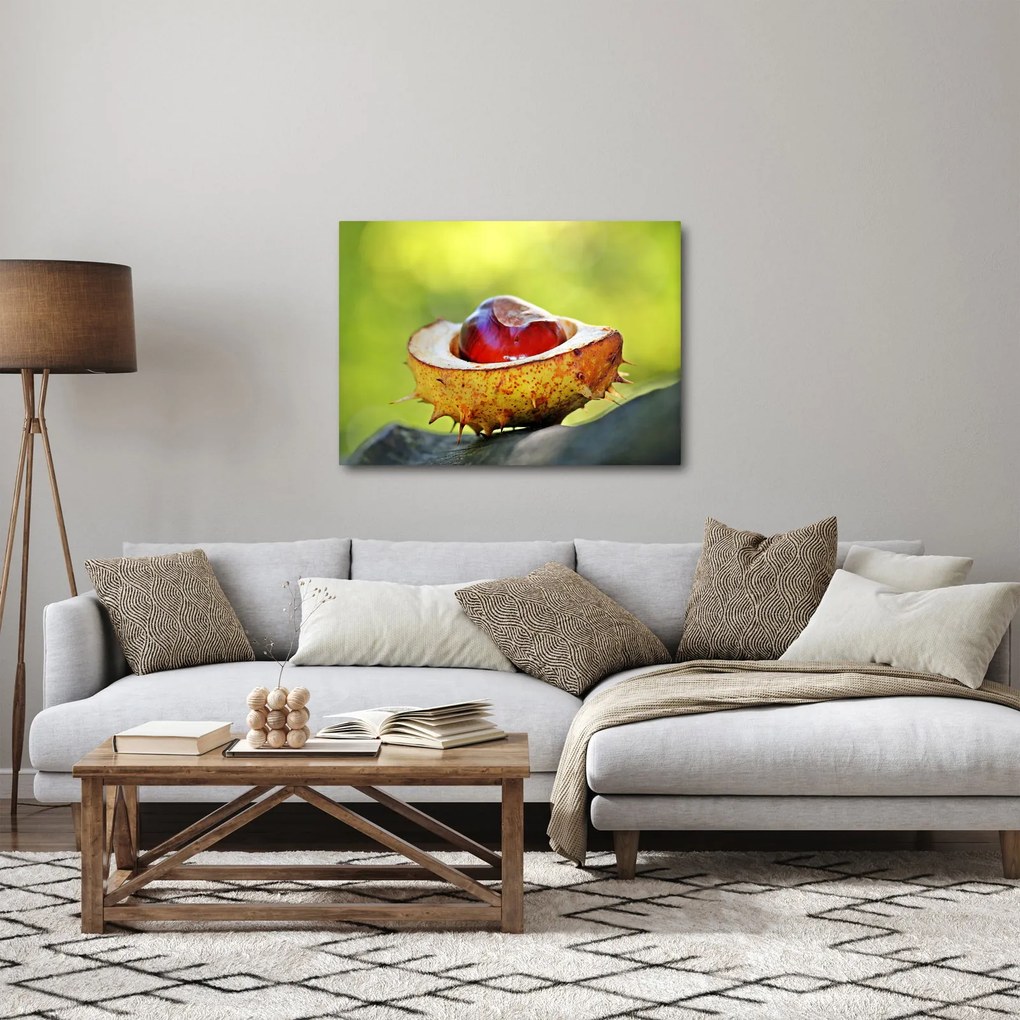 Tablou cu castani (70x50 cm)