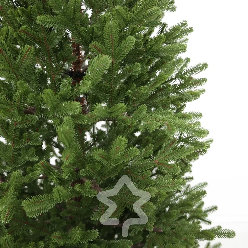 Molid Natura 100% 210 cm