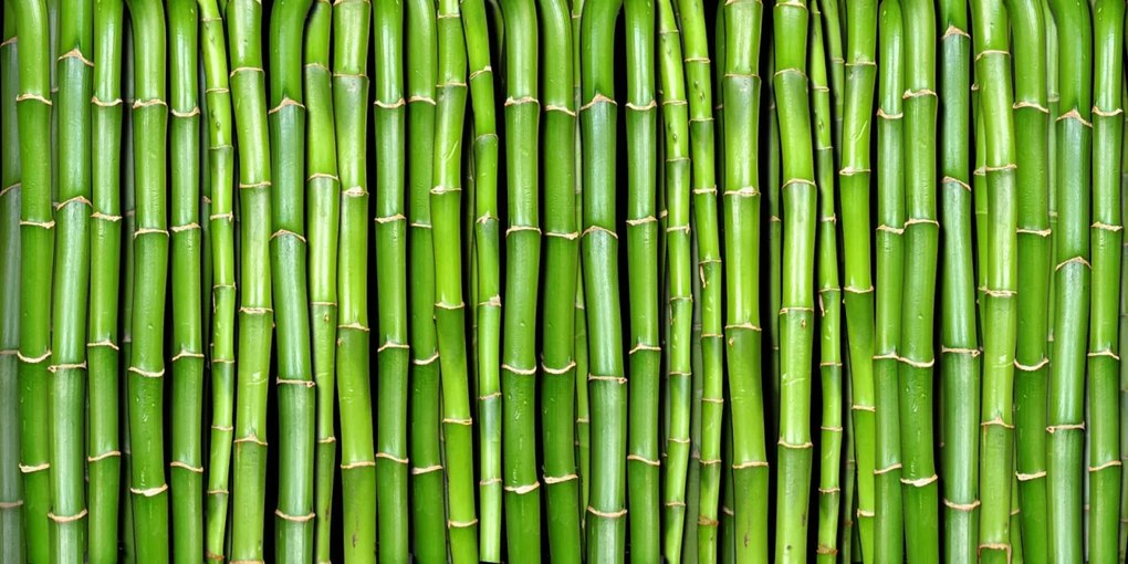 Tapet Bamboo, Rebel Walls