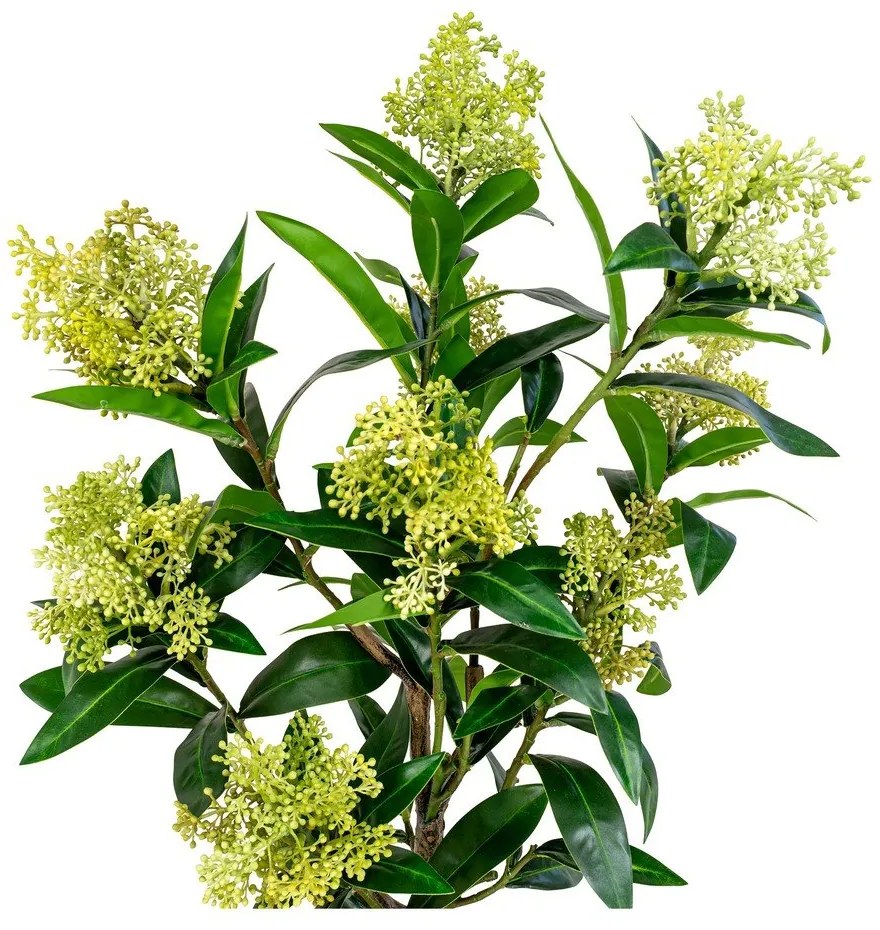 Plantă artificială Skimmia - House Nordic