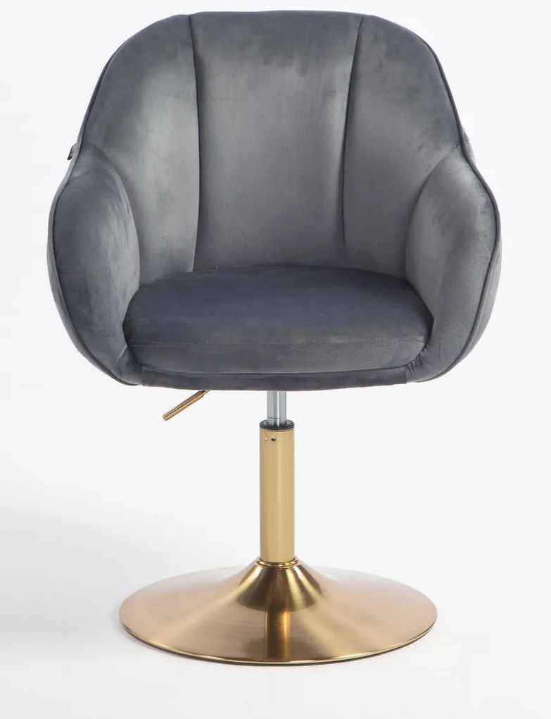 HR2055N Scaun Grafit din Catifea cu Bază Aurie