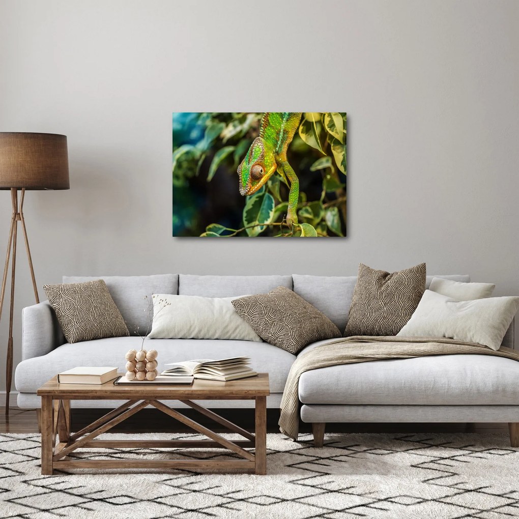 Tablou cu cameleon (70x50 cm)