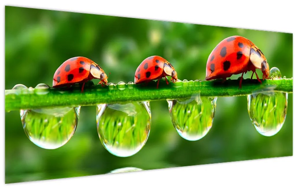 Tablou - Soarele celor șapte sori (120x50 cm)