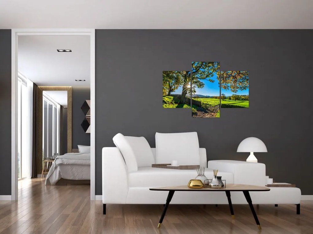 Tablou Privire la câmp (90x60 cm)