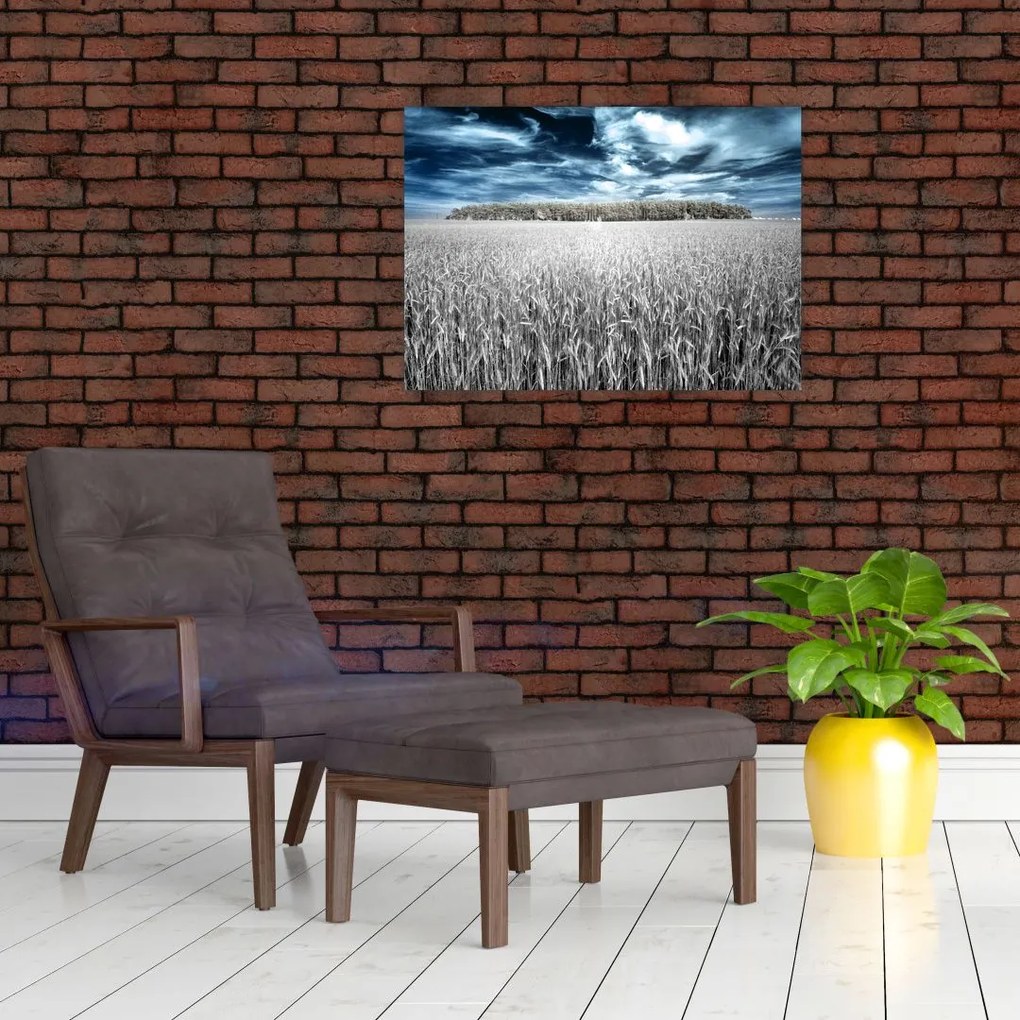 Tablou cu câmp (70x50 cm)