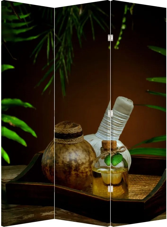Paravan - Obiectele spa (126x170 cm)