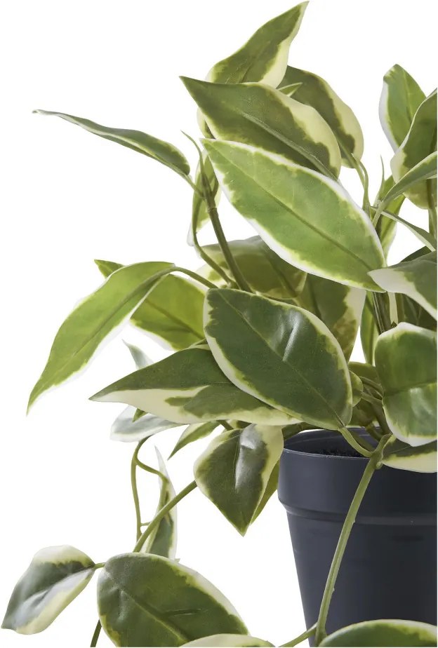 Plantă artificială Waxflower, verde 33 cm