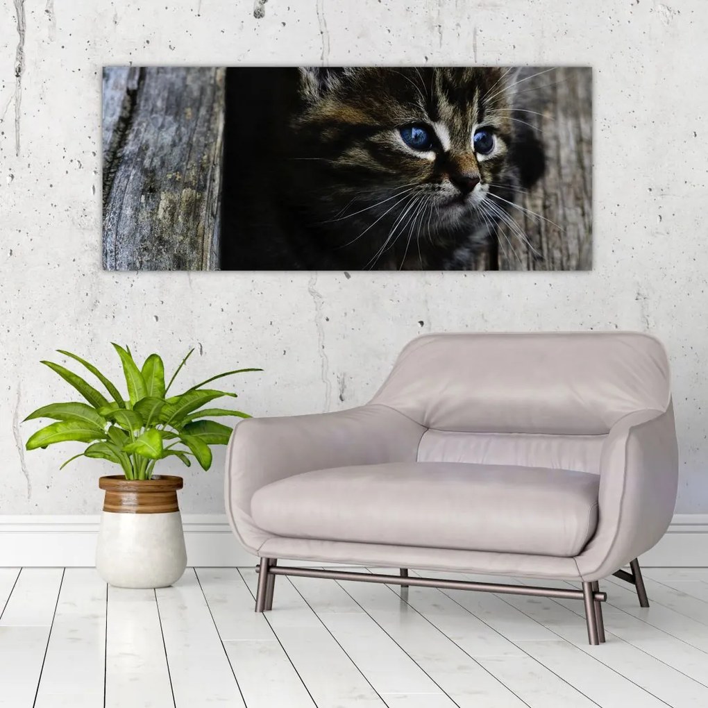 Tablou cu pisicuța (120x50 cm)
