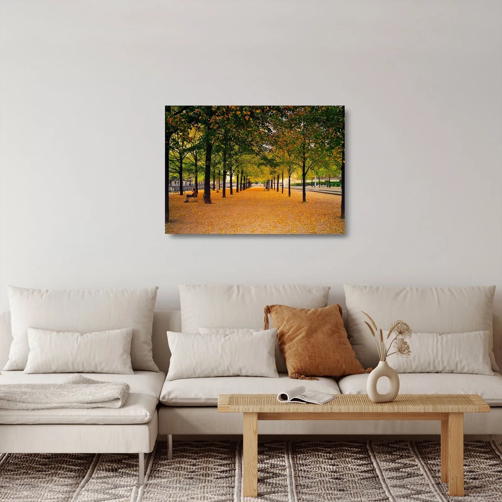Tablou pe sticlă cu alee cu copaci în toamnă (70x50 cm)