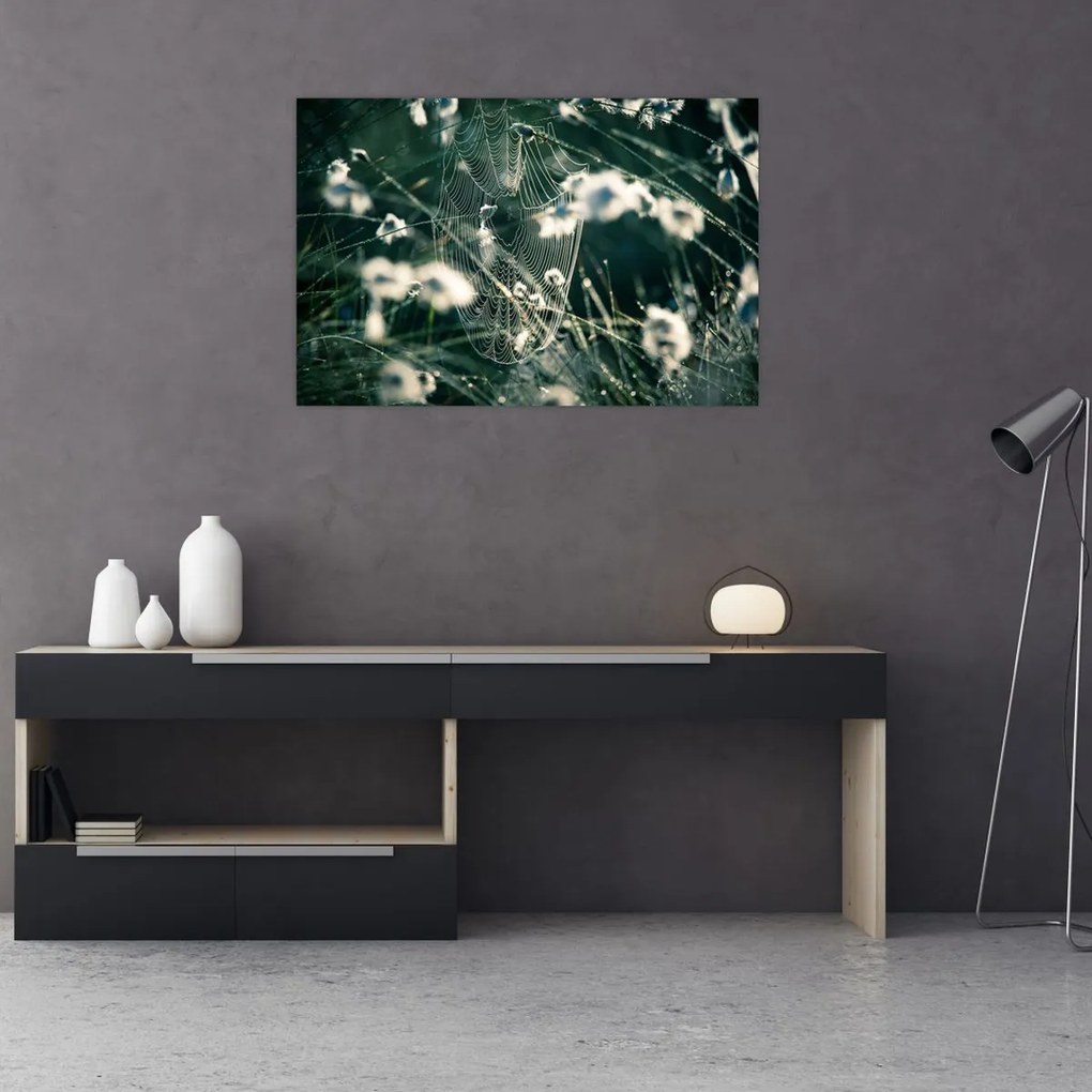 Tablou - Pânză de păianjen (90x60 cm)