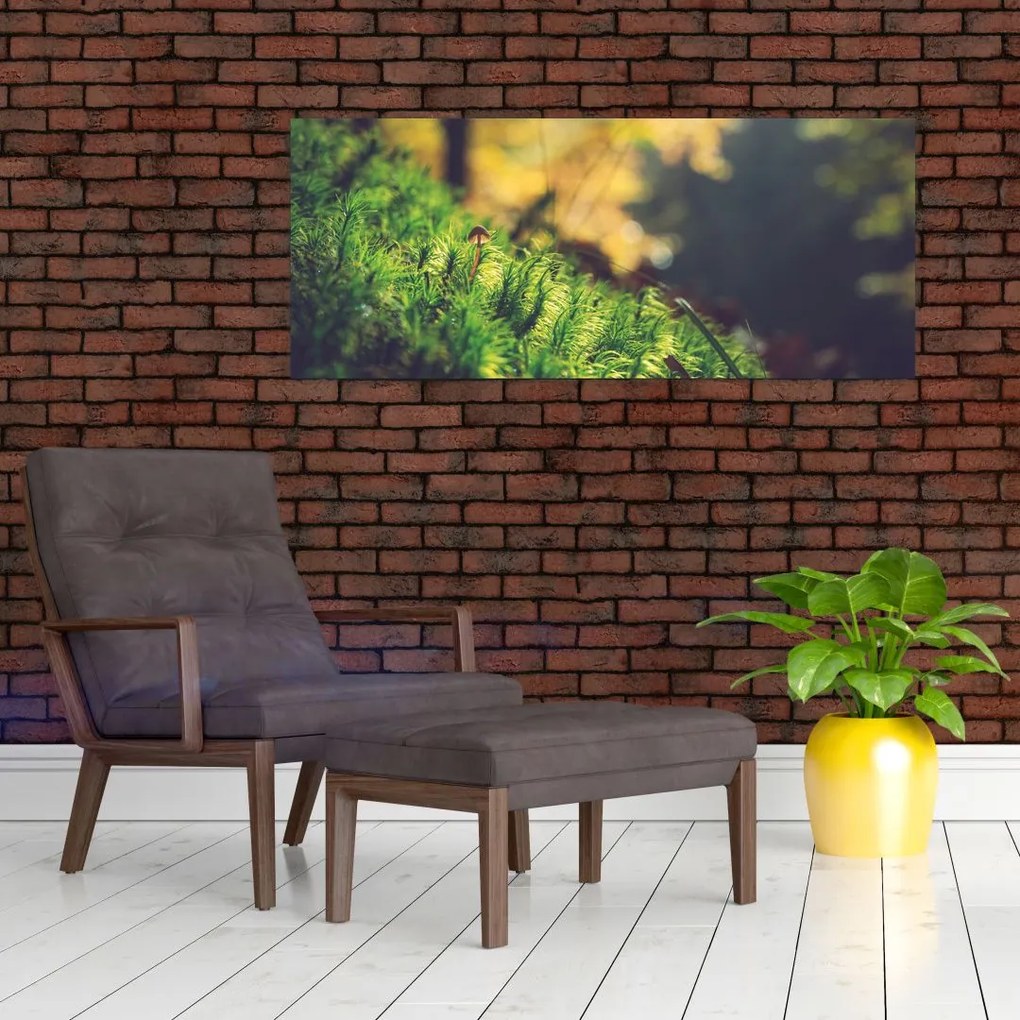 Tablou - Ciupercă și muschi (120x50 cm)