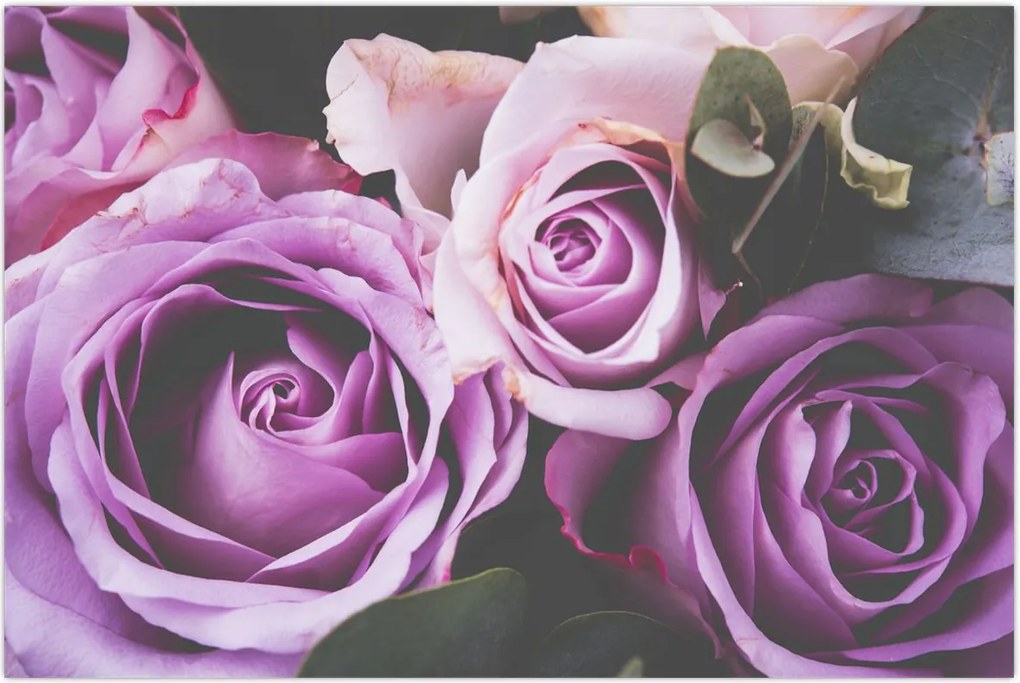 Tablou - Trandafiri (90x60 cm)