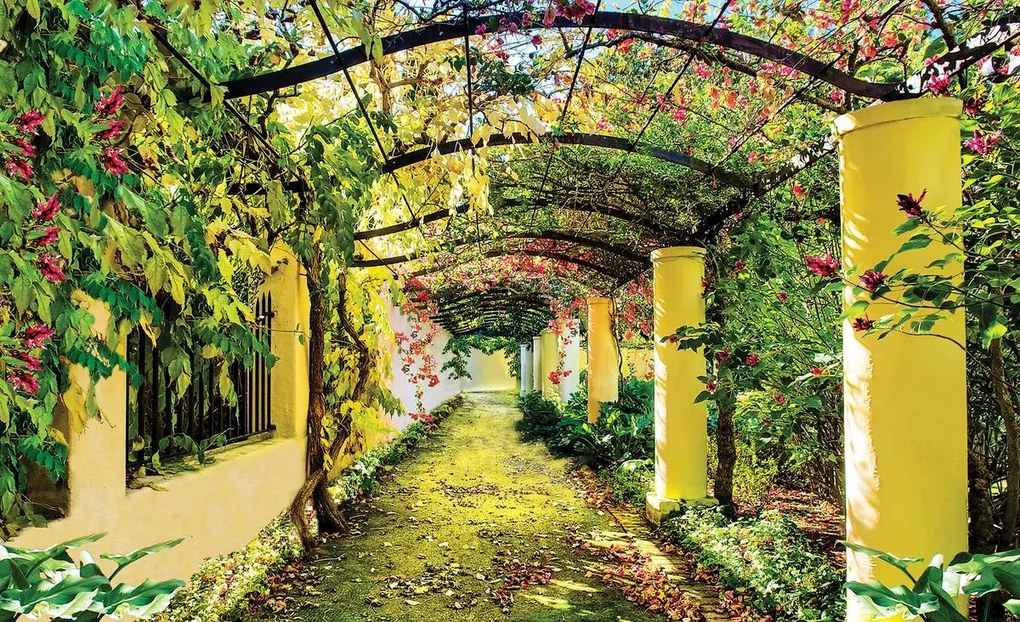 Fototapet - Stăduță cu flori (152,5x104 cm)