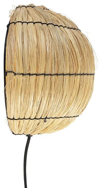 Aplic oriental iarba de mare - Canno
