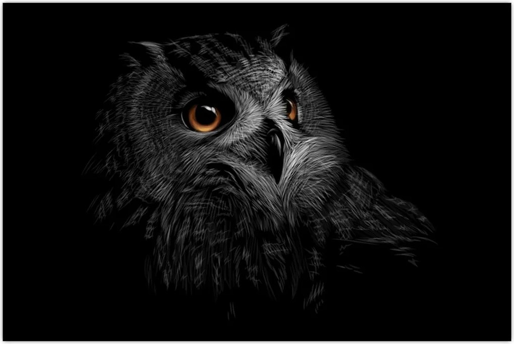 Tablou - Bufniță, ilustrație (90x60 cm)