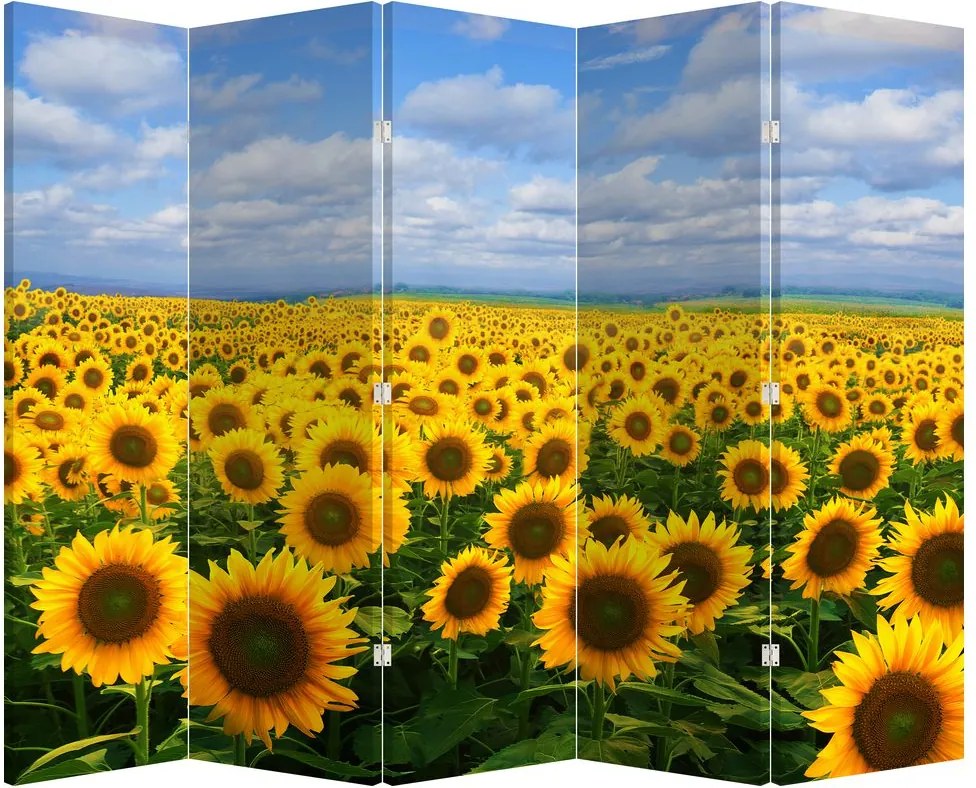 Paravan - Lan de floarea soarelui (210x170 cm)