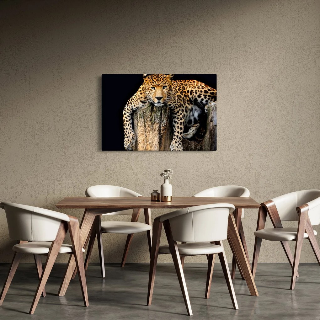Tablou - Ghepard (90x60 cm)