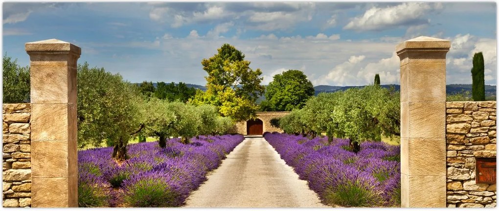 Tablou - Căi de lavandă (120x50 cm)