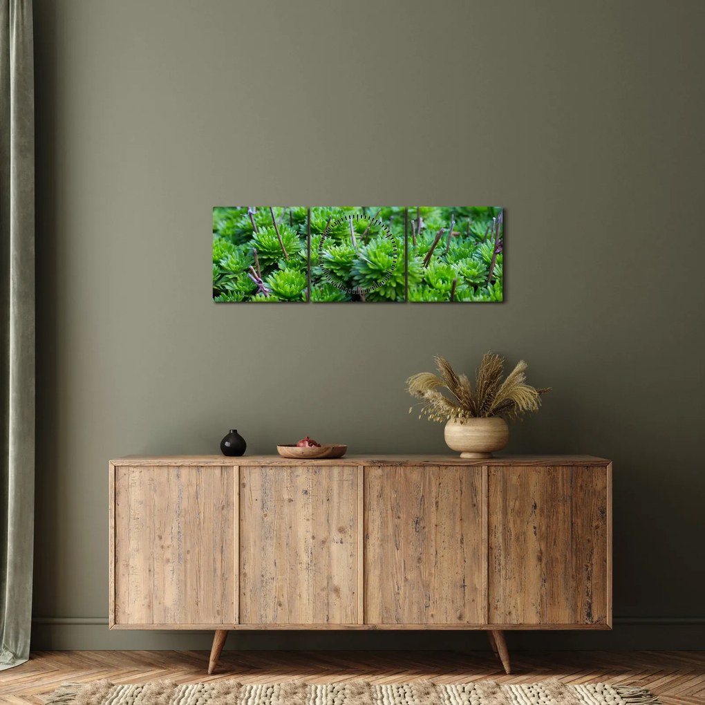 Tablou - Aloe (cu ceas) (90x30 cm)