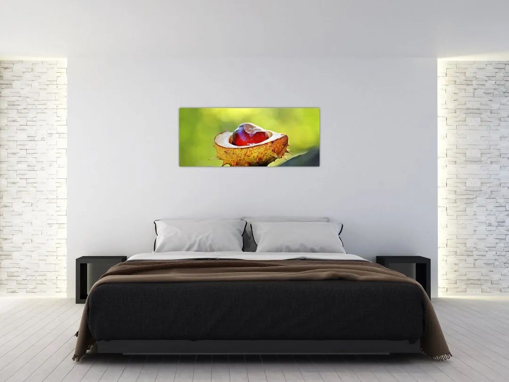 Tablou cu castani (120x50 cm)