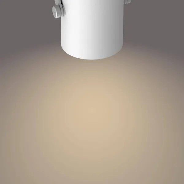 Spot LED Philips 50661/31/P0 BYRE LED/4,3W/230V 2200/2500/2700K