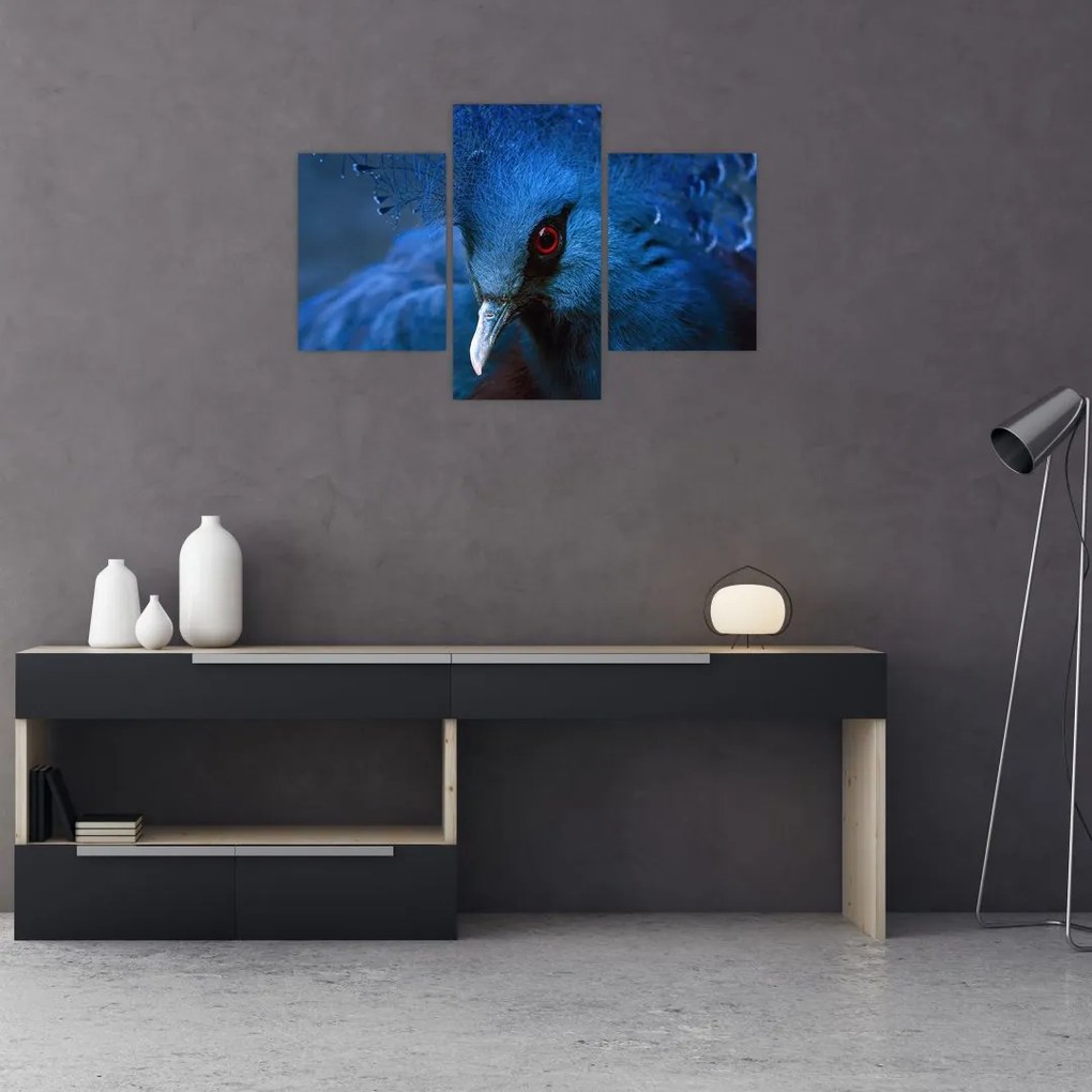 Tablou - Porumbel încoronat (90x60 cm)