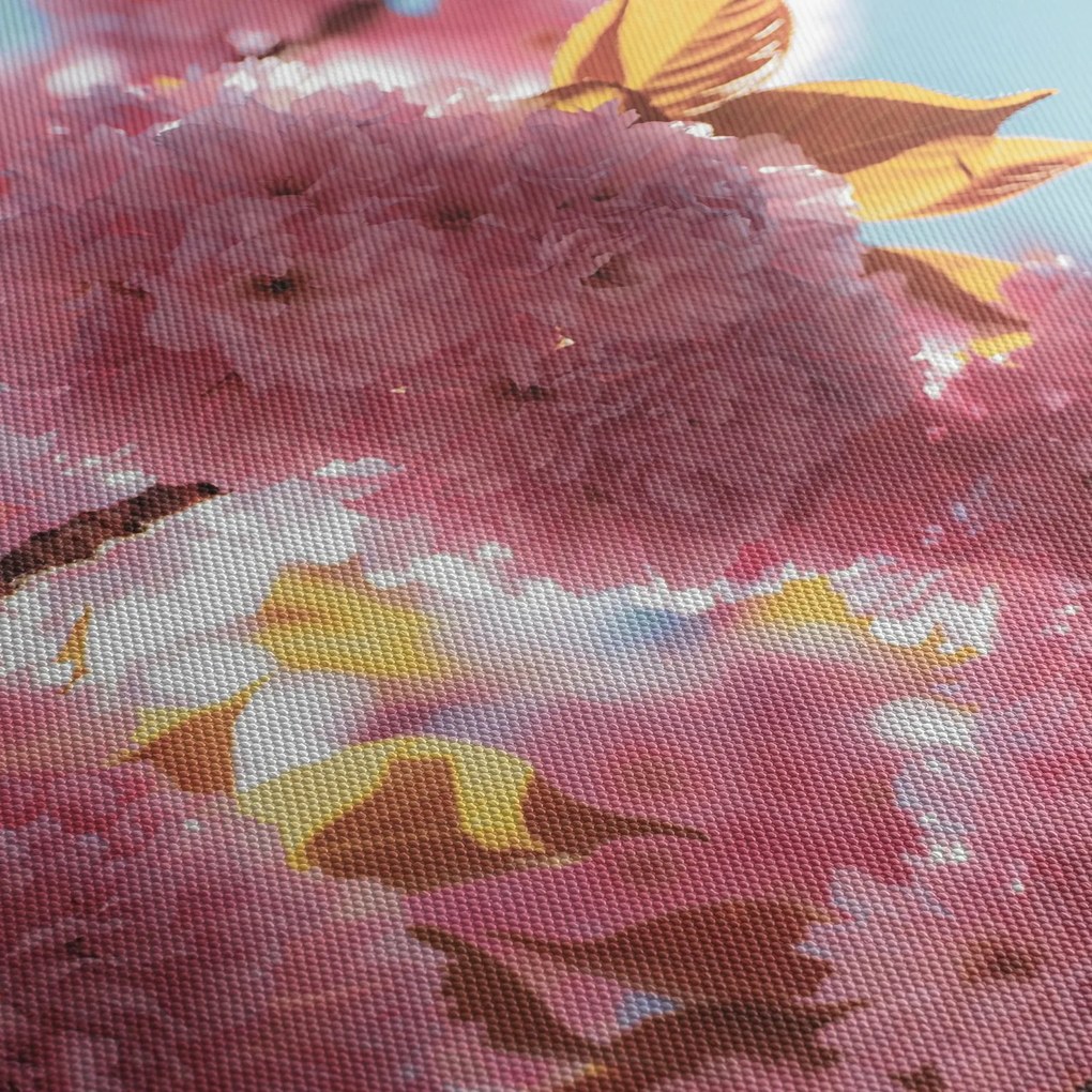 Tablou - Floare de cireș (70x50 cm)