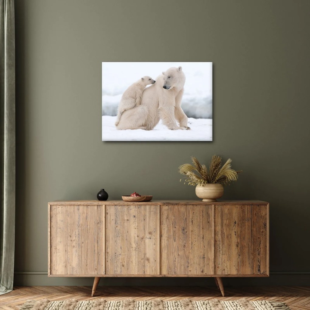 Tablou - Urs polar (70x50 cm)