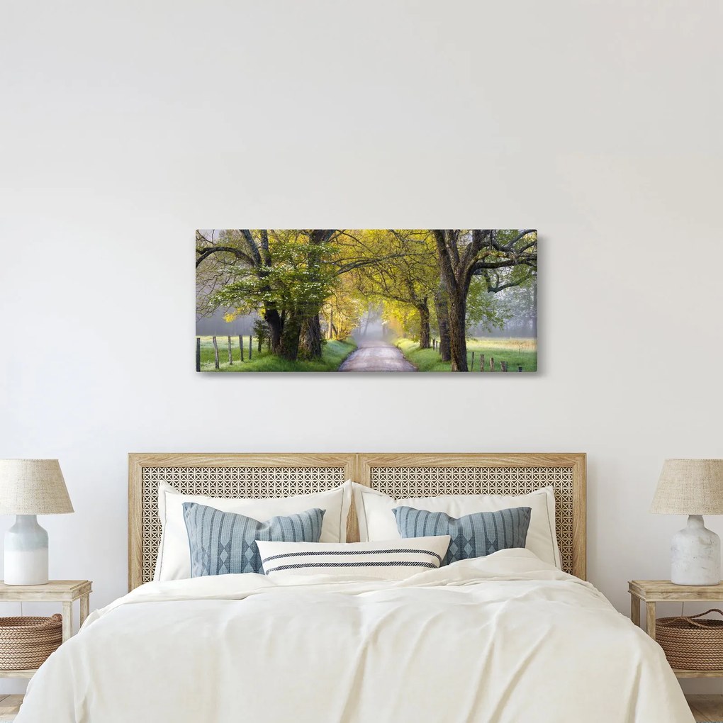 Tablou - Smoky Mountains, Gatlinburg, SUA (120x50 cm)
