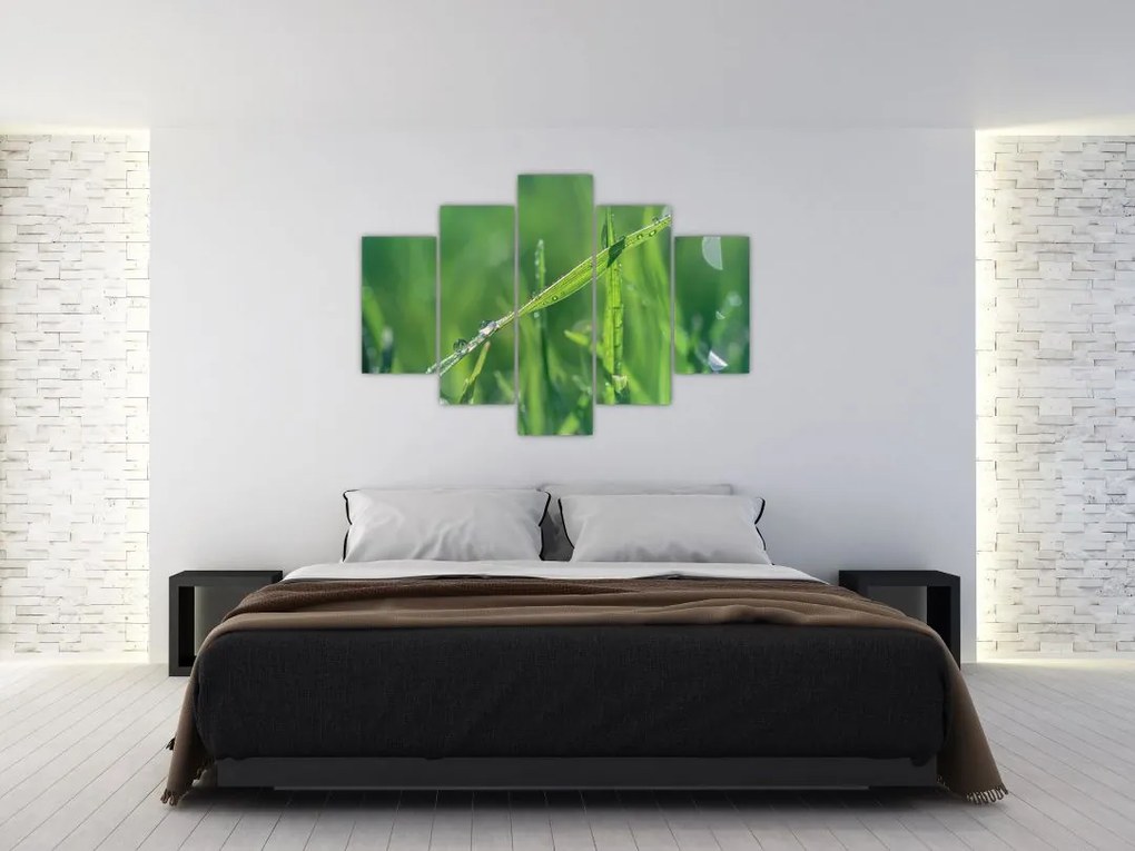 Tablou cu picături de rouă (150x105 cm)