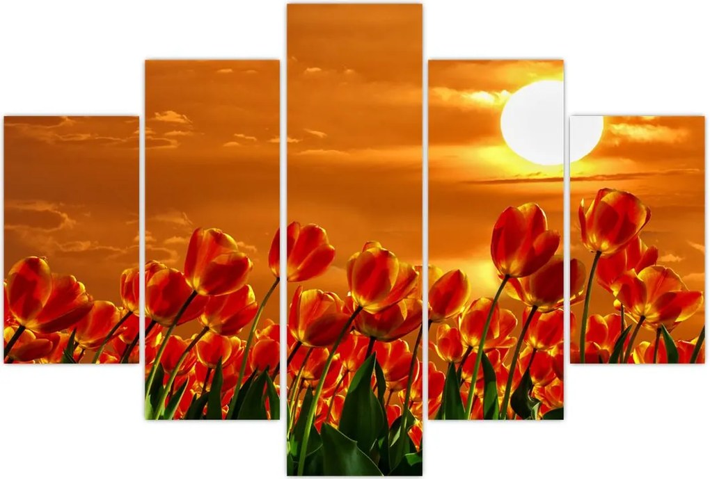 Tablou - lan înflorit de lalele (150x105 cm)