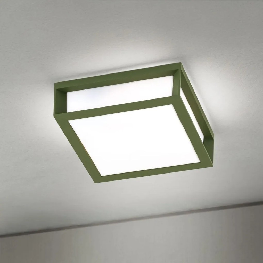 Aplica perete sau tavan de exterior IP44 HENRY verde