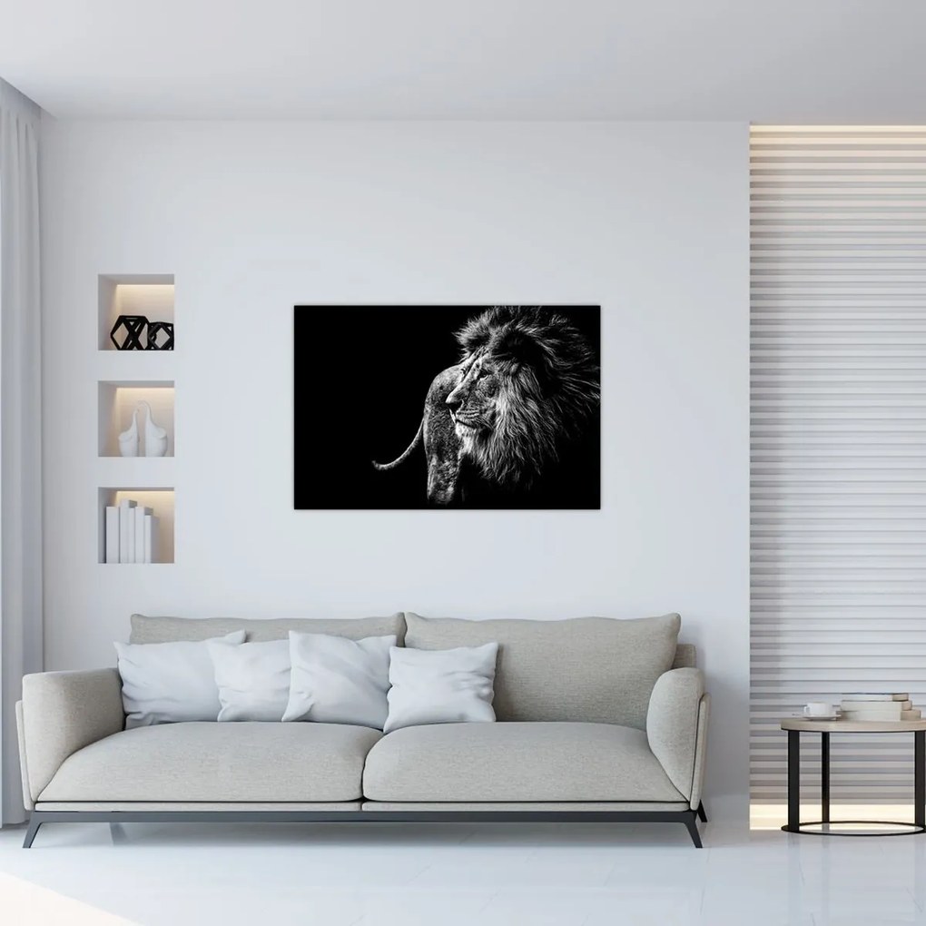 Tablou - Leu, alb și negru (90x60 cm)