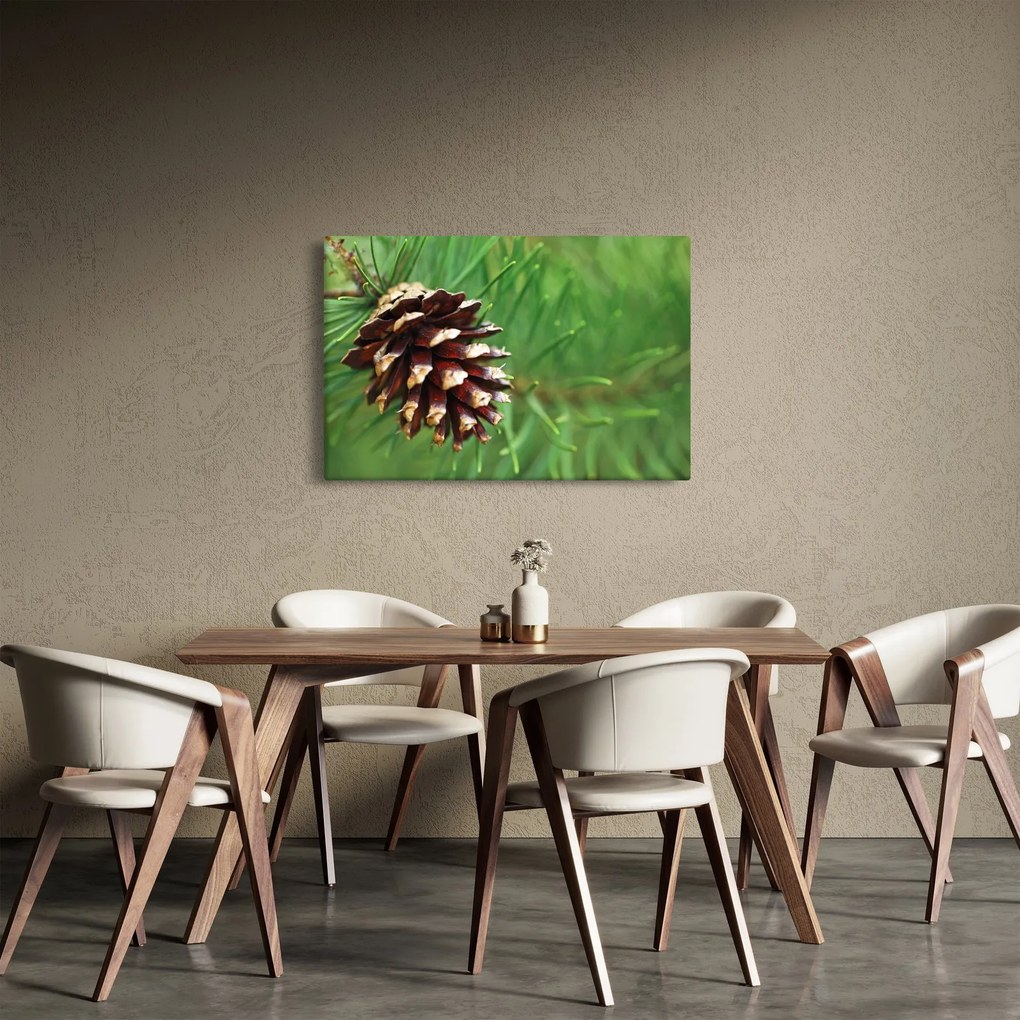 Tablou cu con (90x60 cm)