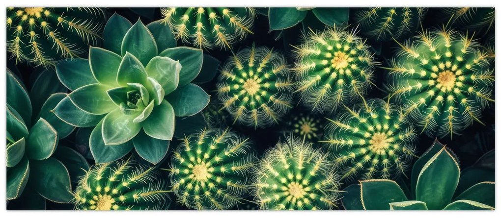 Tablou - Cactuși (120x50 cm)