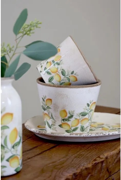 Ghiveci Limone Blossom cu lămâi și flori