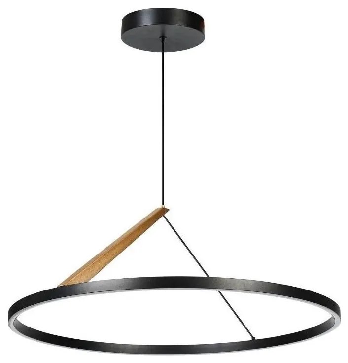 Rabalux 72352 - Lustră LED pe cablu RENARA LED/40W/230V 3000K