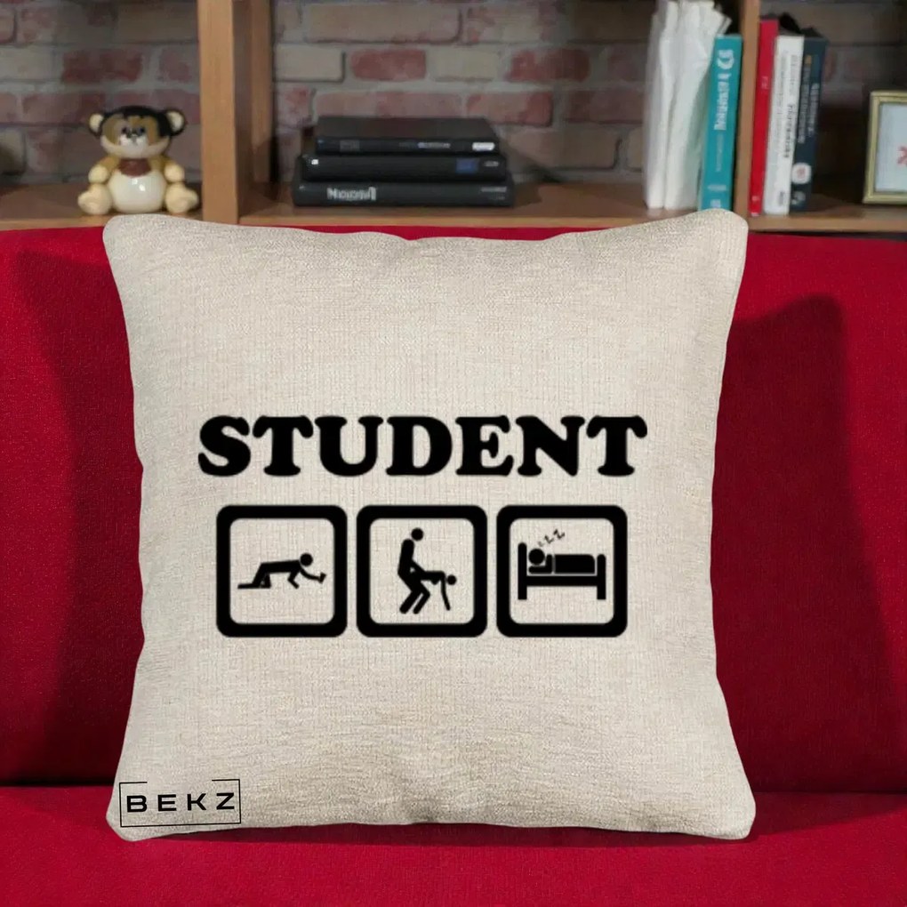 Perna Decorativa Student Life, 40x40 cm, Bej Canapea, Husa Detasabila, Perna Inclusa, BEKZ®
