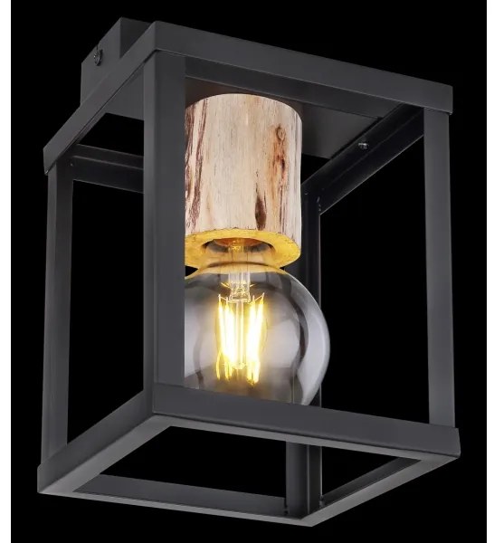 Plafonieră Globo 15476D HAGAR 1xE27/60W/230V