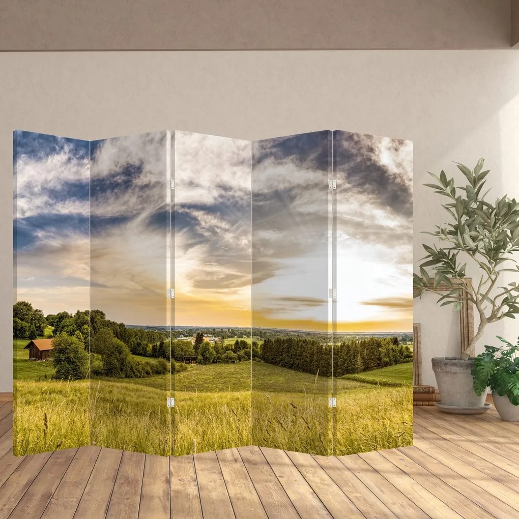 Paravan - Peisaj (210x170 cm)