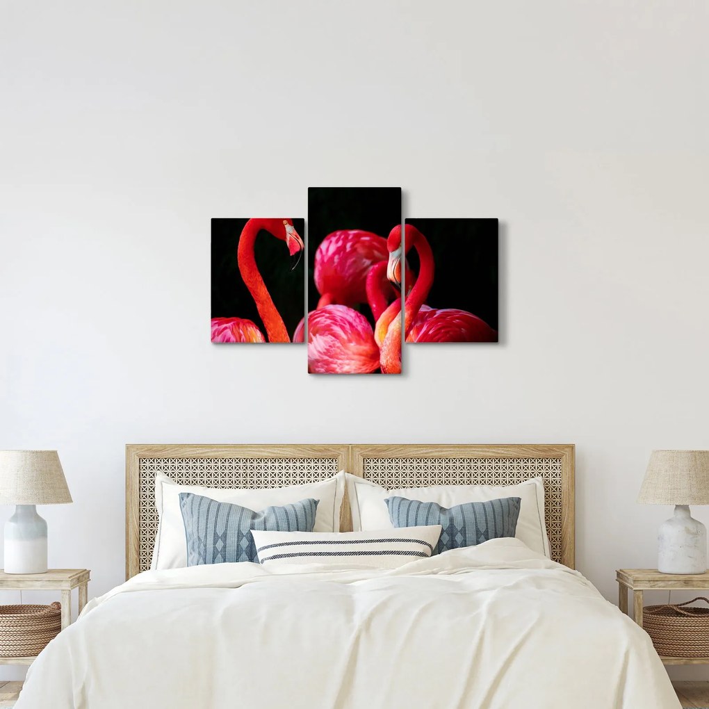 Tablou cu flamengo roșii (90x60 cm)
