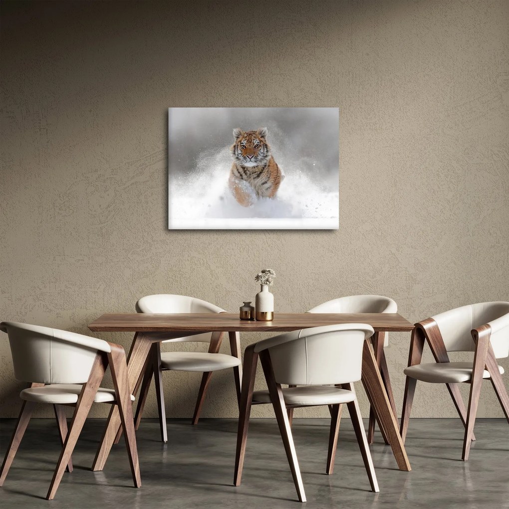 Tablou cutigru fugind prin zăpadă (70x50 cm)