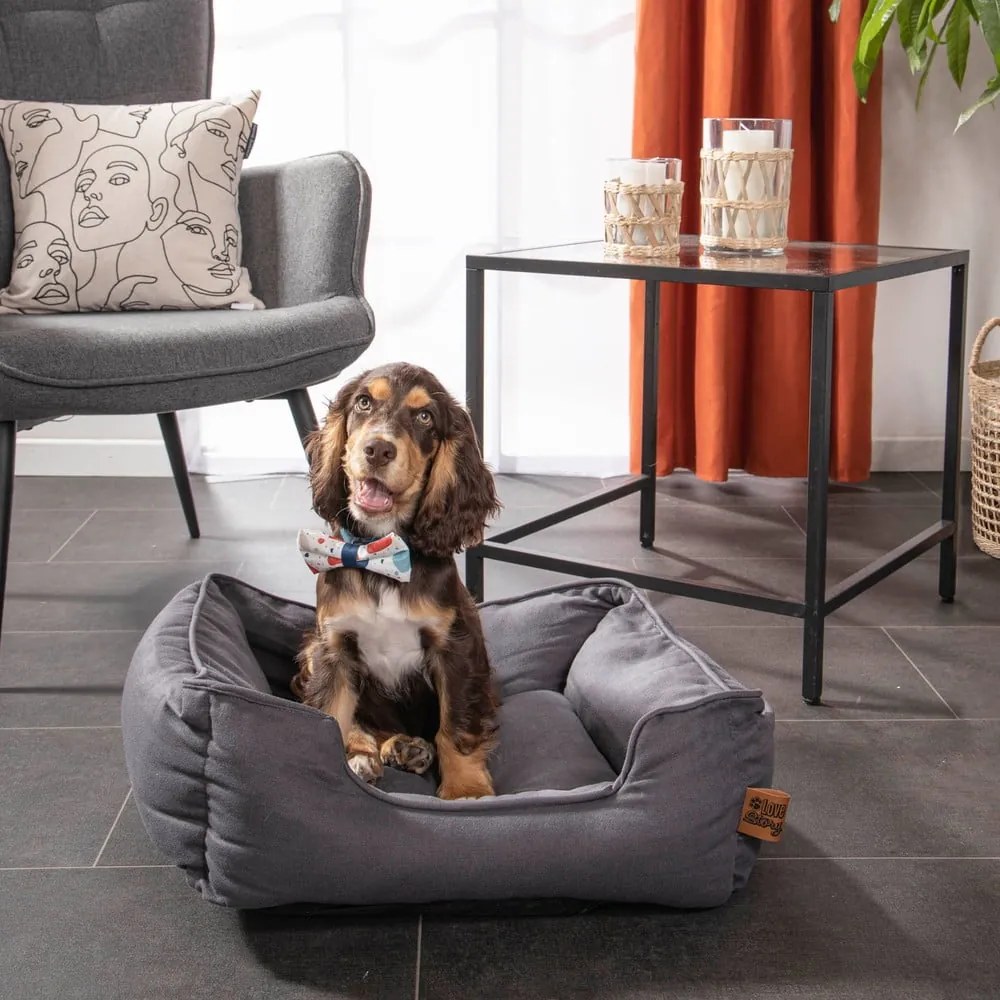 Pat pentru animale de companie albastru pentru câini 50x55 cm – Love Story