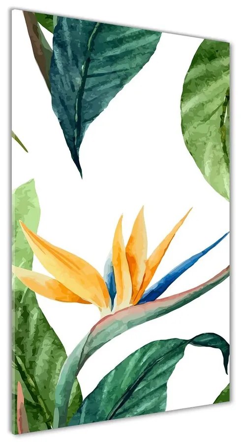 Tablou sticlă acrilică Strelitzia reginae
