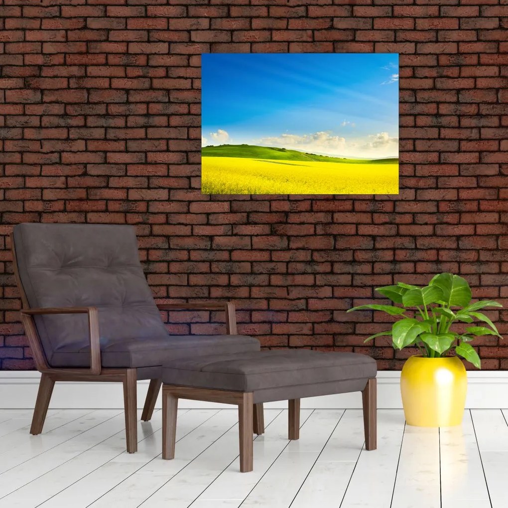 Tablou pe sticlă - Cerul de primăvară (70x50 cm)