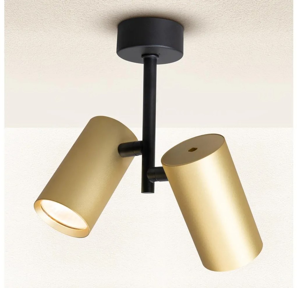 Spot Brilagi SELE VERTICAL 2xGU10/30W/230V negru/auriu